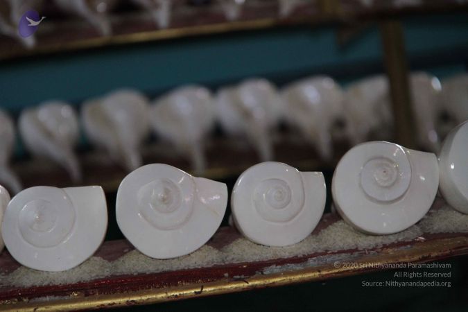 20150915 Photo 1153 1IGomhjg1KzSqy4mzuwY1l f2HzU7Yhzi.JPG