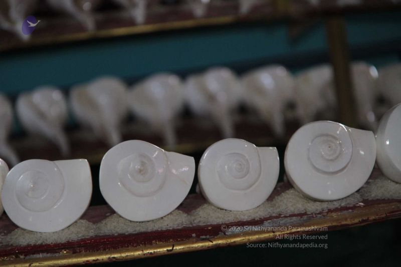 File:20150915 Photo 303 1SWkCBKREla7HwnZVaHRq1X0k4Rz5Ac35.jpg