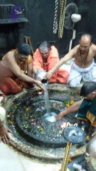 File:20150916 Photo 1013 1OGTKpIlfnDkjlFcztVP3hmyIqpzjlO7x.JPG