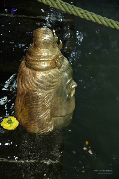 File:20150916 Photo 117 1GfJe4uWwnqCktHt9Lo4ugjbnmvUxaLYm.jpg