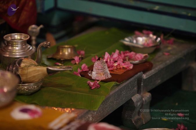 20150919 Photo 1064 19v0PppwJTUha2hV5XqVoqnpexYQnJu0y.JPG