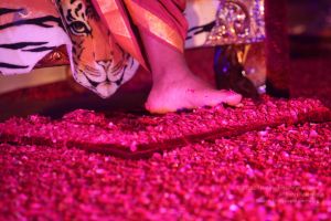 20151006 Photo 1050 12b2zmOM-1MUORhhB0G7enJZP7OkGK6IE.JPG