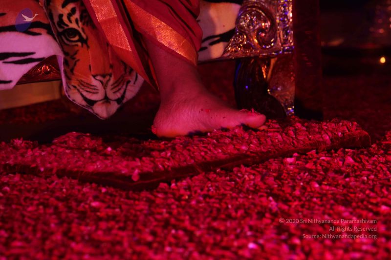 File:20151006 Photo 1052 1pZQC00zOF3fWlV-tBcQzos1tDO HgrU0.JPG