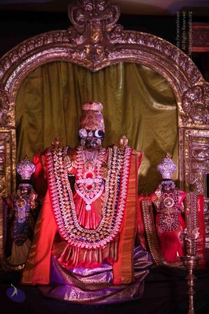 20151016 Photo 1011 1GYS7JM0j0Emws54hCGQ5vG7mWHid5X56.JPG