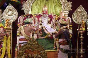 20151018 Photo 1176 11mi3uXJwTrCYoOKySniU6SkrBRLXVmKL.JPG