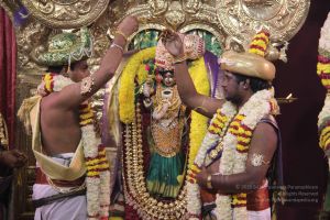 20151018 Photo 1345 12CJQsU0Z4vSbCTqsw3vX3exP49s-aboz.JPG