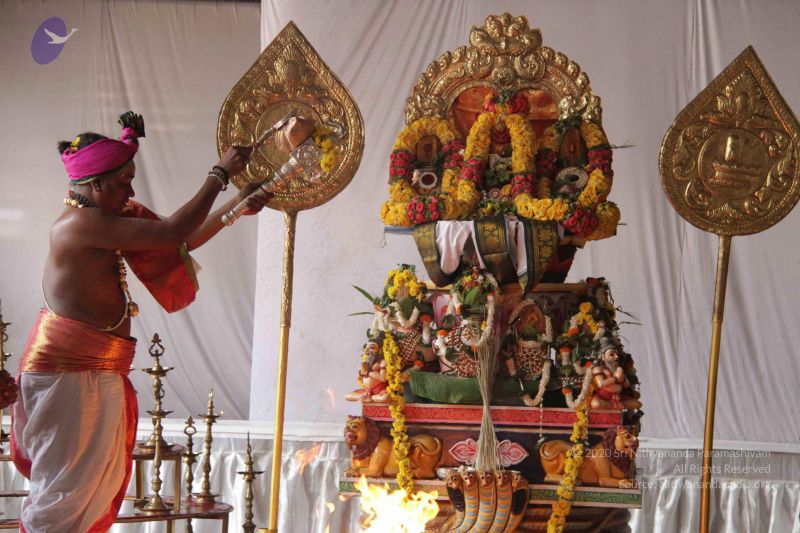 File:20151019 Photo 1130 1ZEb-OEWTd81ehYZpEXLcr110eAz2nBEy.JPG