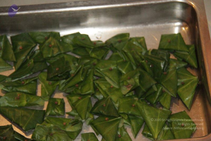 File:20151023 Photo 1058 1zv wv60Fe9YIbnc32f6r55p3DB5-zBZX.JPG