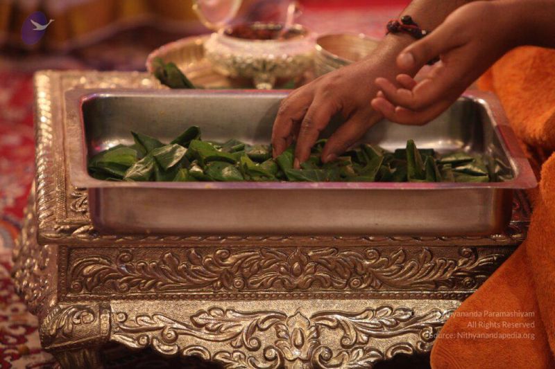 File:20151023 Photo 1205 1ffsih23JFIezgXd4-lUInRtORCHjNJPZ.JPG