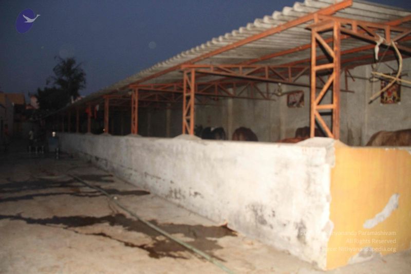 File:20151027 Photo 1023 1Cc0KMEKnhkAuE6O 1SgJkACyCwalq23b.JPG