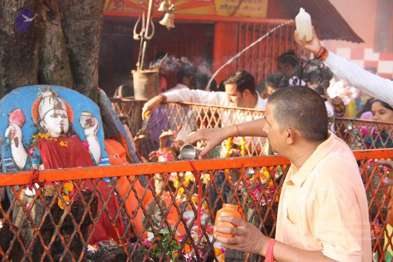 File:20151027 Photo 1150 1YeiMGoES3pyHL9hGKiisIeA6A5W1nO21.JPG