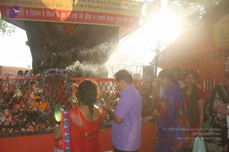 File:20151027 Photo 1153 1nv4wVCEPaNqxRCAtlTitH26iiDIYb2vV.JPG