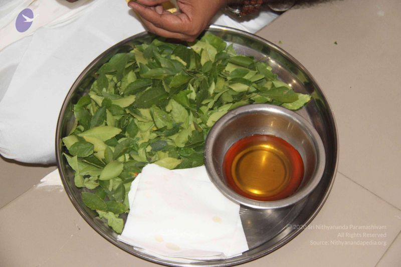 File:20151101 Photo 1198 1oSNSc1AREtXeZKOQ819u2bjet3J2UcS8.JPG