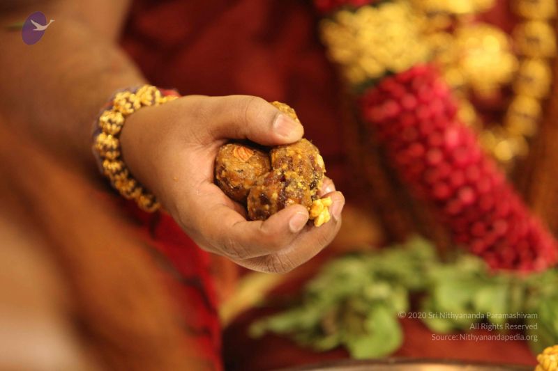 File:20151110 Photo 1165 17wm2ltUvx-58NaJTiDR0nvhlB8wYxfYL.JPG