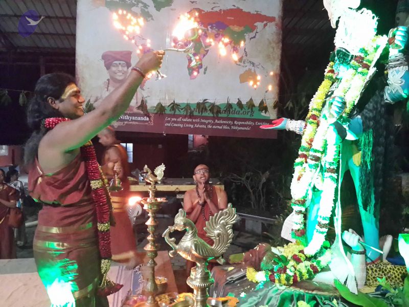 File:20151110 Photo 1346 17dqr5Wx-zKD0-NhRMFcJQkrHYoDGpTPn.JPG