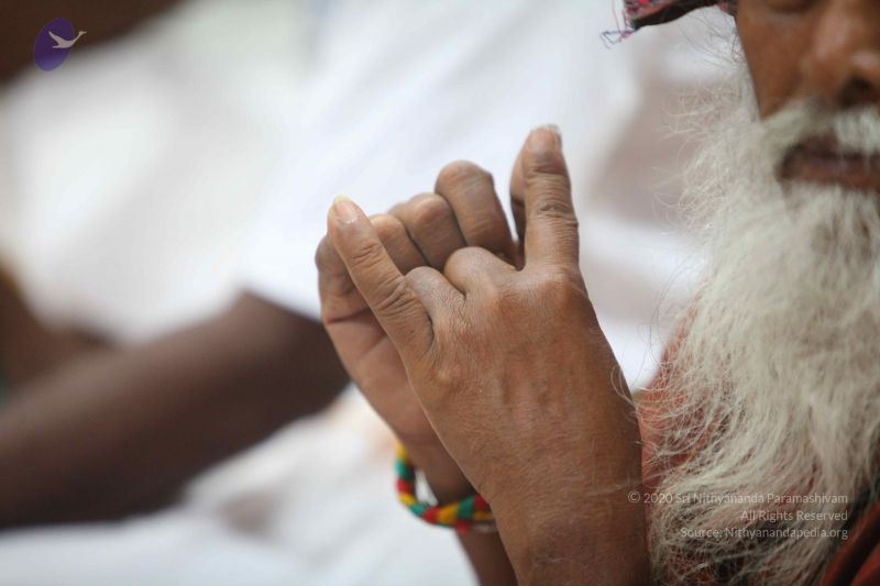 File:20151111 Photo 1002 1mj5P4UQGImtN94muDA1z9cCUIDtvVqUh.JPG