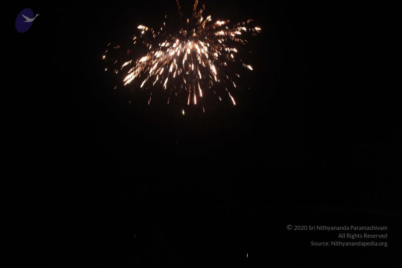 File:20151111 Photo 1043 1BlILxUW1ymSvDpi6mHi9SDTWug2rCVmV.JPG