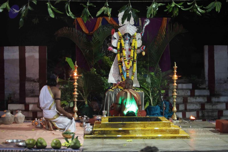 File:20151111 Photo 1084 1JsLdoK7eBJWy1aD5ix73tF3CwBJGKKho.JPG