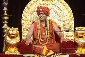 20151111 Photo 1099 13QxdxZ6vTMYSwQXr7PX8tsc8dTcqVJ5Q.JPG