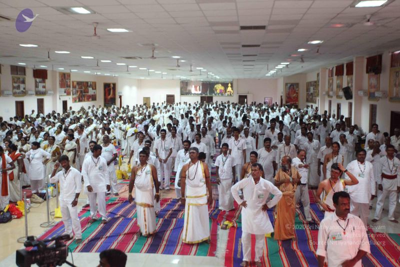 File:20151111 Photo 1324 1RFJB5oWOjEkYPXF8ZqwNm0GR7TLHiZdY.JPG