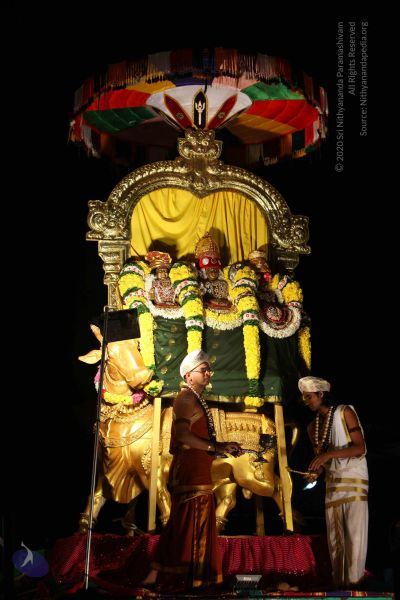 File:20151111 Photo 1402 1HGtX7LGqSLbJ1WcLHLqnQHmVNXJsuHsh.JPG