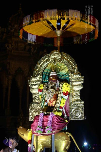 File:20151111 Photo 1404 1MdHWyfePSaXh3e-Rw2DZ3gfNL4XvNd9Q.JPG