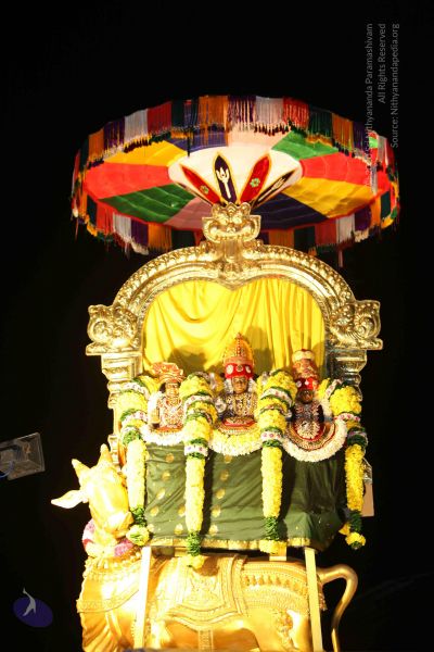 File:20151111 Photo 1406 1yLzDo5CIVtTstPQ14BTIQGvgkIZ0Nf4j.JPG