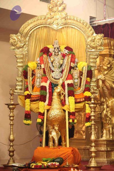 File:20151112 Photo 1018 167E hojHpx4kr4zZpj-zVi ZykII97U9.JPG