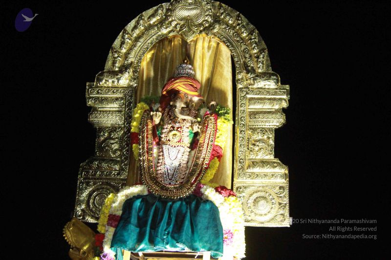 File:20151115 Photo 1022 1TvPhTYVKXSlQftyZ95qtPpsV5s0S9f s.JPG