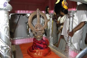 20151115 Photo 1023 1xT3jz7NNWGr-FLXxFKdT5RWd5zAzEctF.JPG