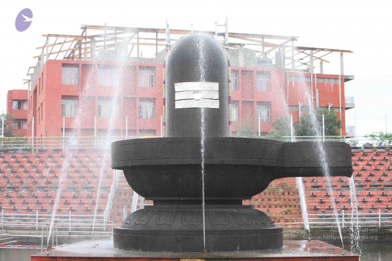 File:20151116 Photo 1005 1om-xULBeollDa186Y21MBZczSfnDPCN3.JPG