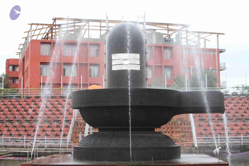 File:20151116 Photo 1007 1Vze9TNZHJuWfJ etIzxVPYS62oWgvuQZ.JPG