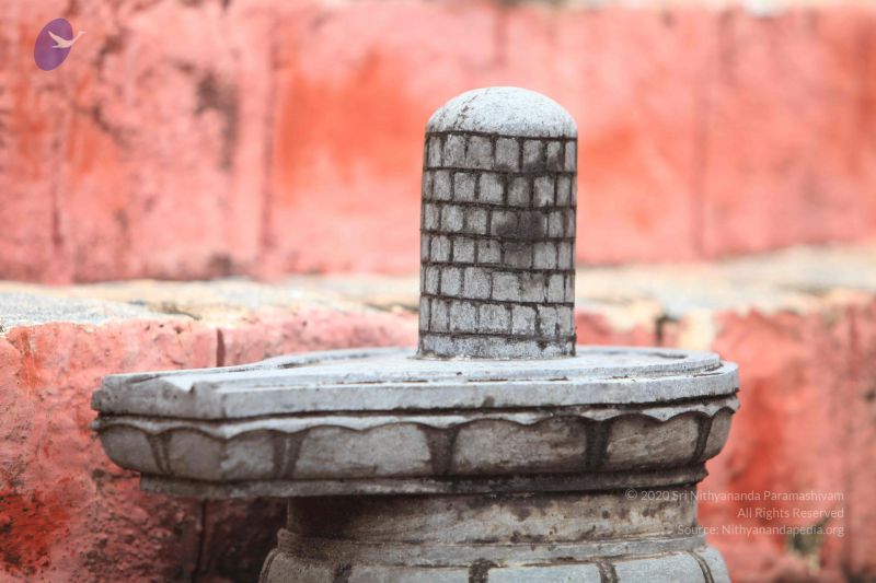 File:20151116 Photo 1011 170ADQDK74SuMBMYLnxG18zFah6UnP4jz.JPG