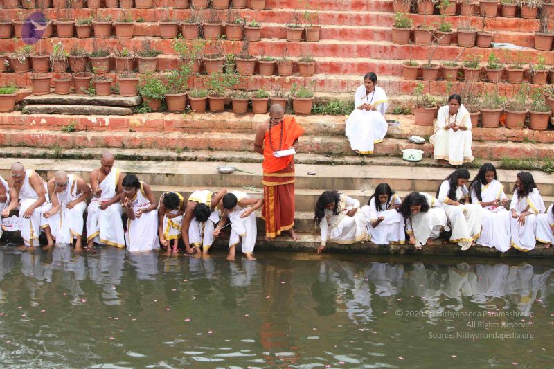 File:20151116 Photo 1029 1UOCatEQMwrT1iGxEnuYL9TpWXgi7fqFW.JPG