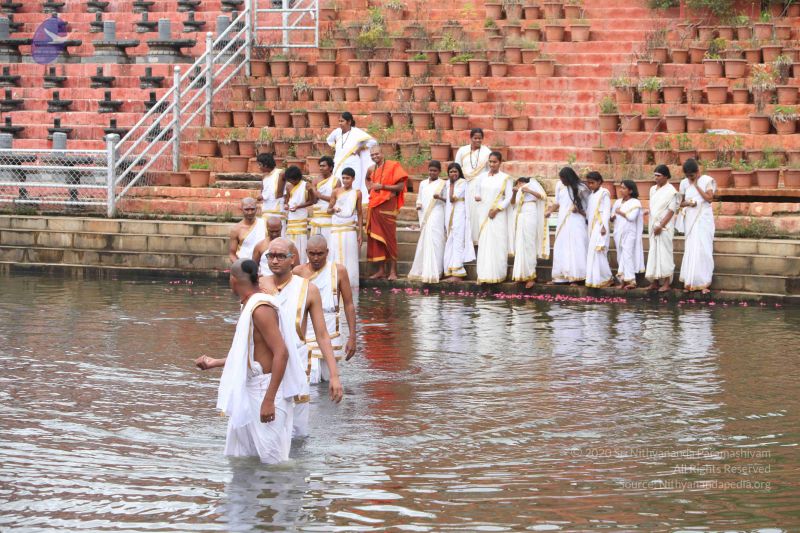 File:20151116 Photo 1048 11oASN79tlygJJr55QrFeH3aG5fVBaTG3.JPG