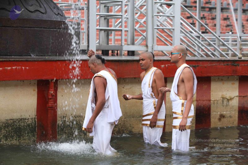 File:20151116 Photo 1053 1P0NYD5HCyRDVjvX5zQYN5hkmR0BOeFAh.JPG