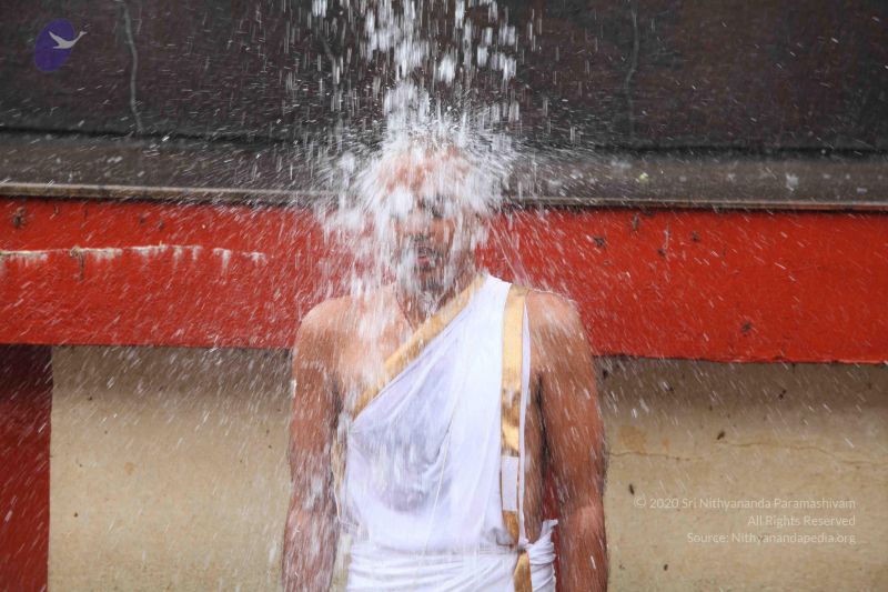 File:20151116 Photo 1054 1mUrdQZ8-TXHxuuvKcSj6wquC8B0TqvJs.JPG