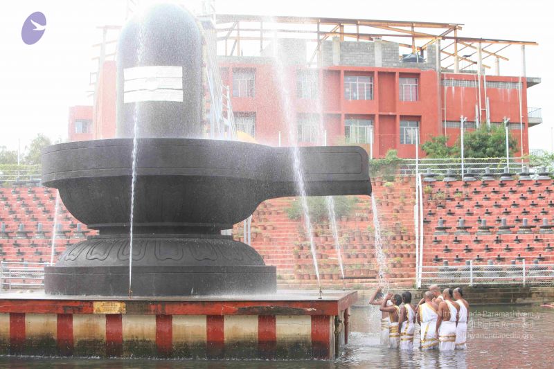 File:20151116 Photo 1076 1vw2Dq3IQaHsYZPuHXsGES0KqJV0neNMG.JPG