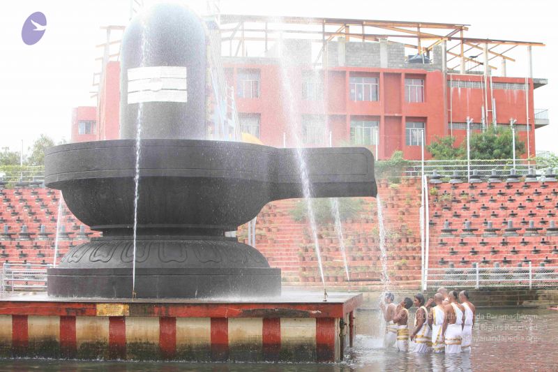 File:20151116 Photo 1077 1t8g7iChoNPiaCRZKl0eFCVrNzr4Z3iQ9.JPG