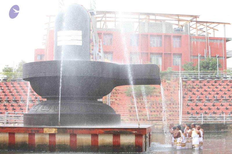 File:20151116 Photo 1078 1SLyZD8OFT0QZUo24YyqkJc-uw kyxdpf.JPG