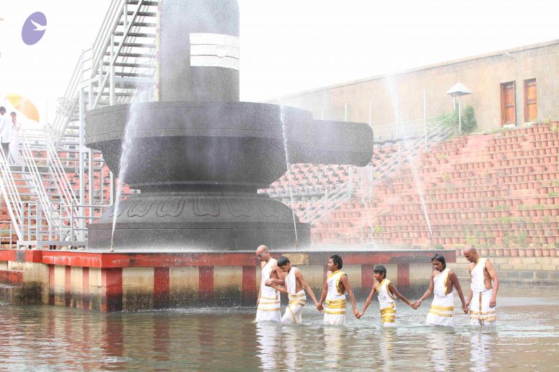 File:20151116 Photo 1089 1y9fdQ9KvD5Wy74cj-4fxQ1m8vN1y86cm.JPG