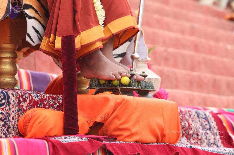 File:20151116 Photo 1100 18zb1RH9Ww8a83p4LgP86dfVpRjWZ4JDG.JPG