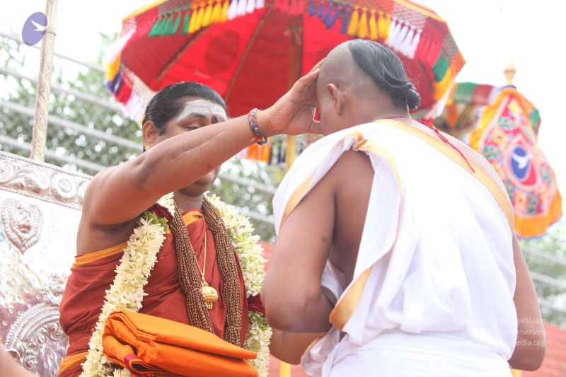 File:20151116 Photo 1136 1dn5GFKRLNPOoHizGrgYF39noT APdZm7.JPG