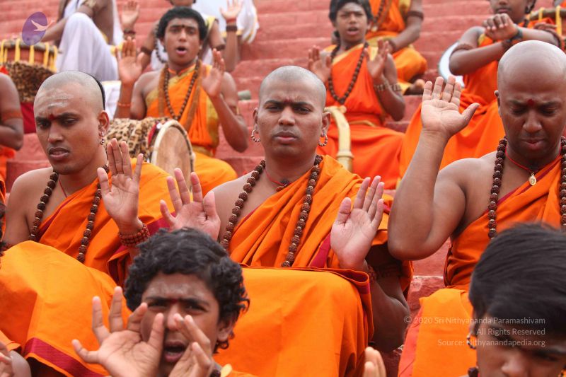 File:20151116 Photo 1178 1nNFZH8BbYqTQUk5M8yGqZQ4aBGtNQosO.JPG