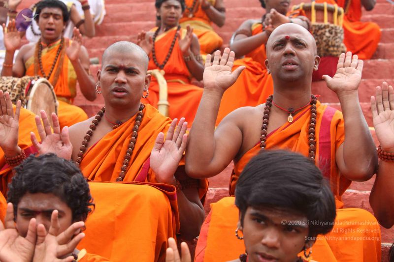 File:20151116 Photo 1179 1IzDU9xAjIZXzPAdueLrJvg0JGbgYVi9W.JPG