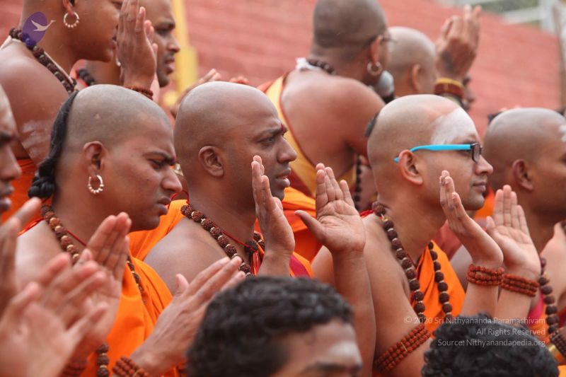 File:20151116 Photo 1184 1s240vMclFKW6HlH64ARd5lgdrq wm3fC.JPG