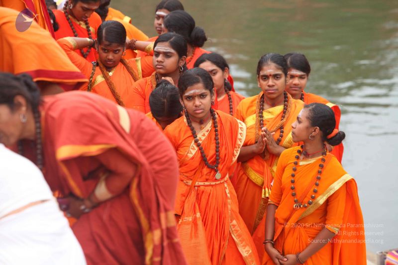 File:20151116 Photo 1197 1MXoyLBJ0NH9Fs9K9ZbF0QJX6Xl0tDRqg.JPG