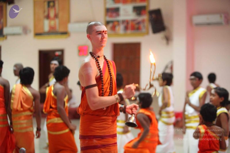 File:20151116 Photo 1231 1JouBmp5QzhBjl8a6kbOZX3qQuxPS9pgQ.JPG