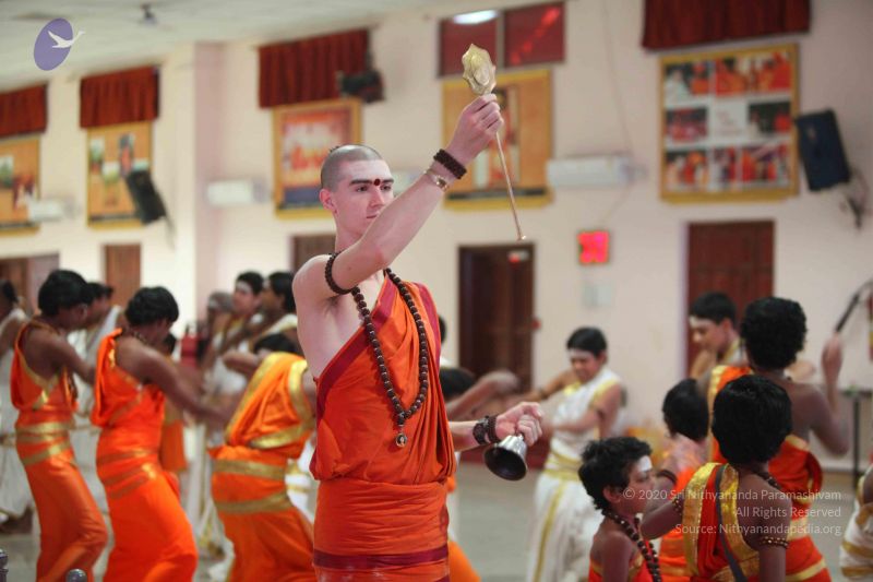 File:20151116 Photo 1239 19WWc0SSdGD2gkcxpaciZKigFrlYPla-9.JPG