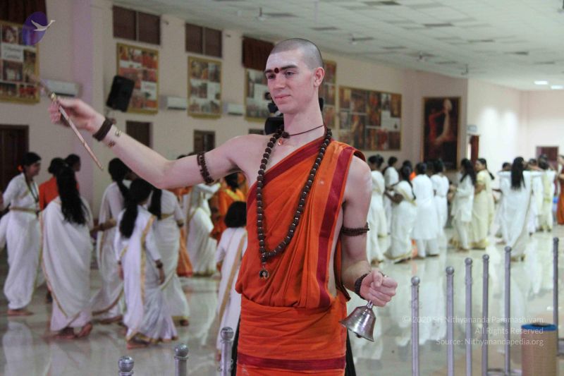 File:20151116 Photo 1244 1K7f19JwkQMKvYvymG5RHEchoJShy9VsA.JPG